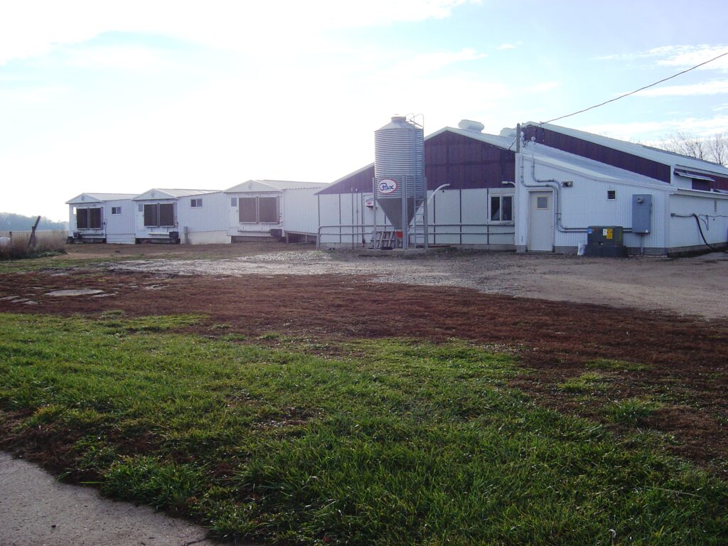 exterior of boar stud barns